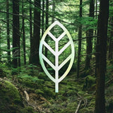 Protector de Pantalla Zagg Glass Elite para iPhone 16 - Transparente