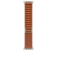Correa Alpine para Apple Watch - Acabado titanio natural
