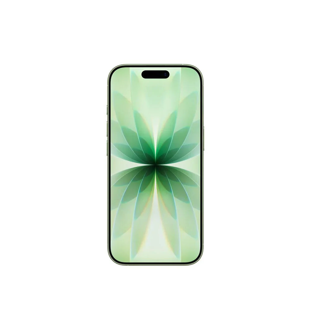 iPhone 17