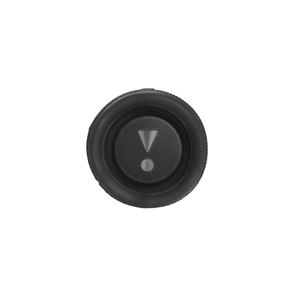 JBL Flip 6